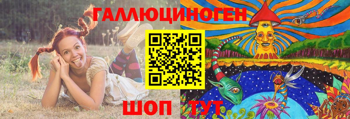 Псилоцибиновые грибы Cubensis Отрадный
